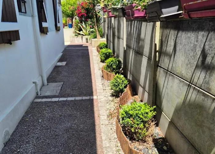 Marguy - 100 M De L'ocean Moliets-et-Maa